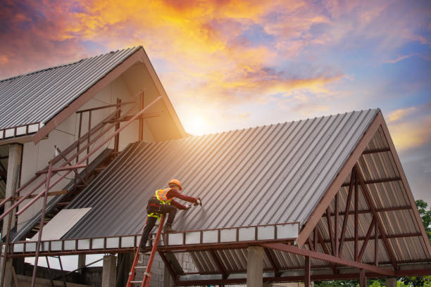 replace metal roof